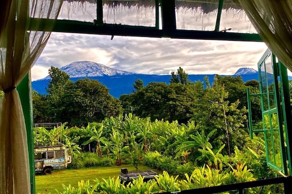 Ropa de cama hipoalergénica, wifi gratis y ropa de cama