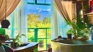 A room with a view of a mountain, a table with a chair, and various potted plants.