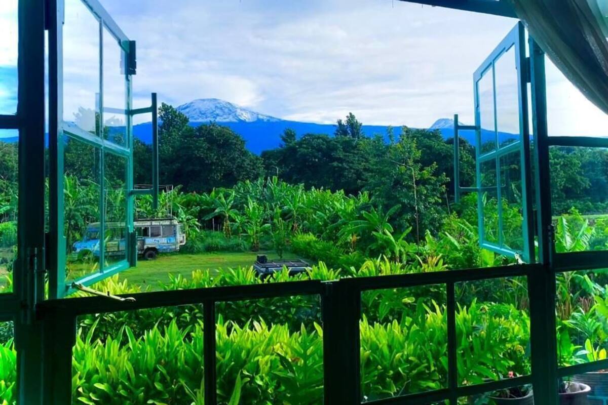 Vista desde una habitación con grandes ventanales que dan a un exuberante jardín y una montaña en la distancia.