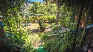 A lush garden with a variety of plants and a small seating area.
