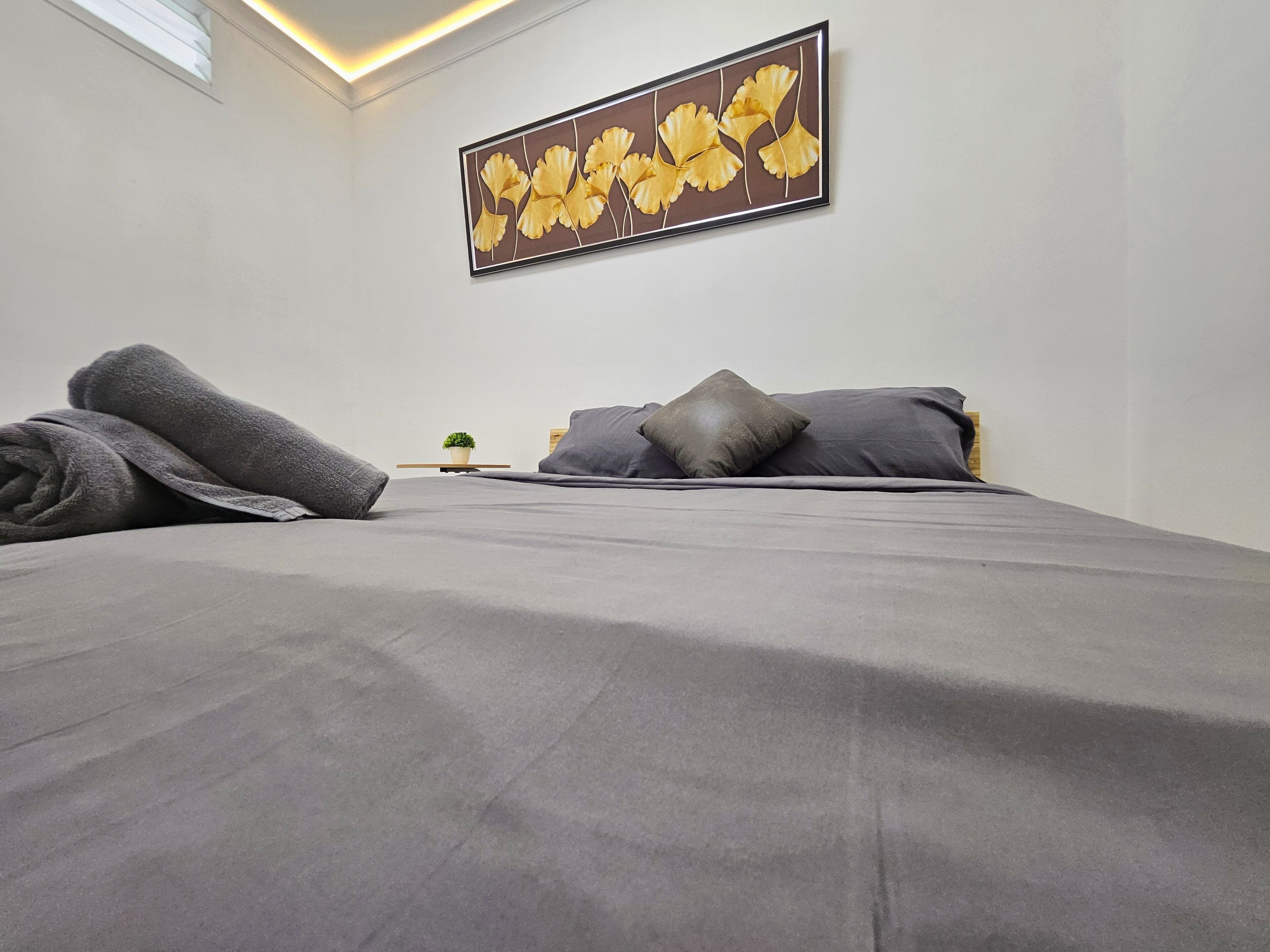 A modern bedroom with a large bed, grey bedding, a small potted plant, and a wall-mounted artwork.