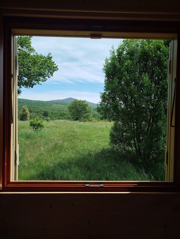 A window with a view of a grassy field and trees.