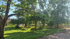 Un giardino curato, con alberi maturi e un vialetto in ghiaia.
