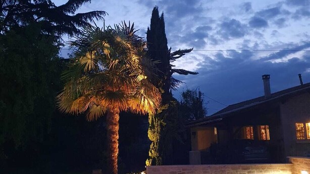 Una piscina con una palma e un edificio sullo sfondo.