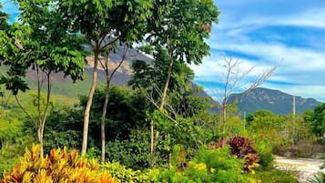 Jardim