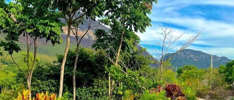 Jardín