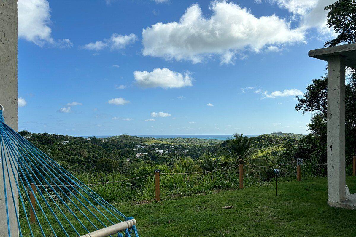 Un hamac sur une pelouse verdoyante, avec vue sur un paysage côtier.