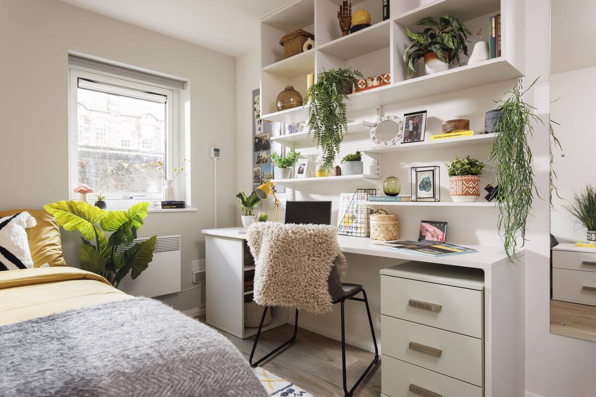 A well-lit bedroom with a bed, a desk with a computer, and shelves with plants and books.