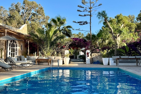 Outdoor pool, open 10:00 AM to 8:00 PM, pool umbrellas, sun loungers