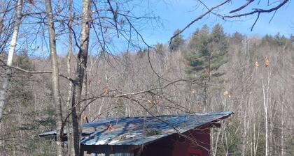 Skiers Favorite Studio