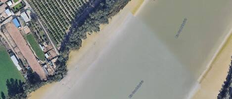 Vista aérea de una zona costera con una extensa playa arenosa, un viñedo y un pequeño grupo de edificios cerca de la orilla.