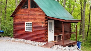 A wooden cabin with a green roof, a front door, and a porch.