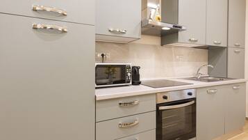 Deluxe Apartment | Private kitchen | Fridge, microwave, oven, stovetop
