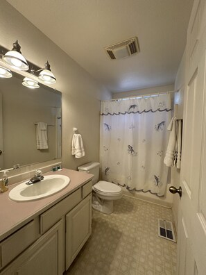 Secadora de cabello, toallas, jabón, papel de baño 