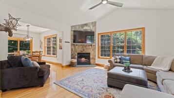 Smart TV, fireplace, books