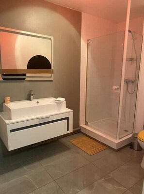 Shower, hair dryer, toilet paper - Erlon Duplex Spacieux , Balnéo (Reims)