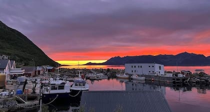 Senja Living