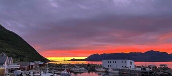 Senja Living