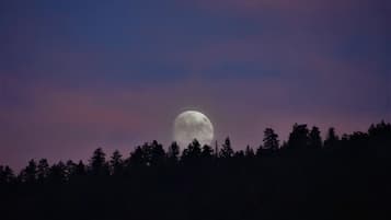 Une pleine lune au-dessus d’une colline boisée, sous un ciel dégagé.