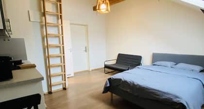 Torggata Apartments Oslo- Romslig Hel-studio Leilighet Midt i Oslo Sentrum