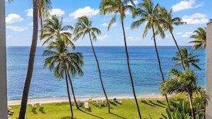 A beach view with palm trees and a clear sky.