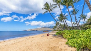 A beach with sand, palm trees, and a clear sky. - 1 bedroom Beachfront Condo, AC, Lanai Oceanview, 6 mile sandy beach (Kihei)
