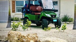 Un véhicule de golf vert est garé devant une maison, qui est entourée d’une clôture blanche, d’un grand rocher et de quelques petites plantes.