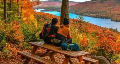 L`eau douce - Lumière naturelle en bord de lac