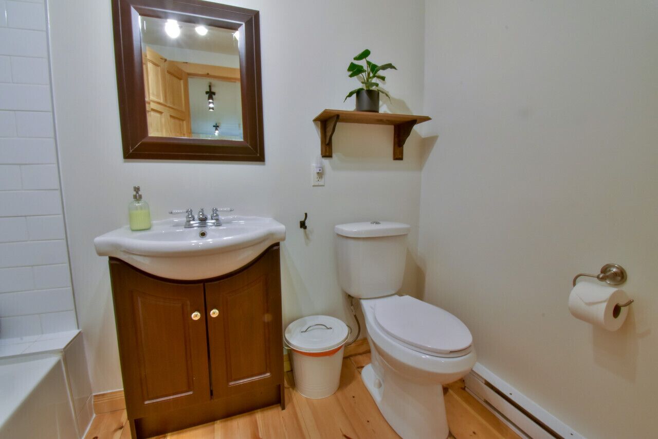 A bathroom with a wooden cabinet, a sink, a toilet, a mirror, and a small shelf with a plant.