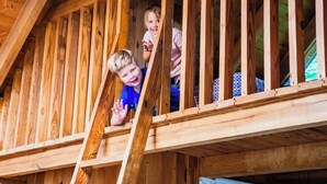 Un balcon en bois avec une balustrade en bois et une échelle.