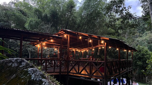 Un belvédère en bois, illuminé de guirlandes lumineuses, entouré d’une végétation luxuriante.