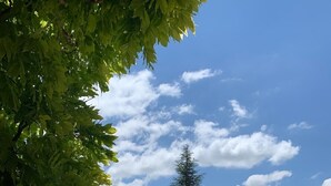 未分類的圖片,第 2 張,共 21 張,按鈕
