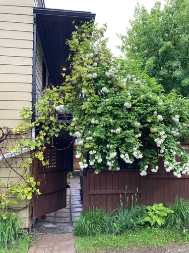 Owl House - SPA with Rooftop terrasse

