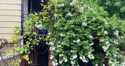 Owl House - SPA with Rooftop terrasse
