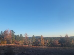 Terrain de l’hébergement 