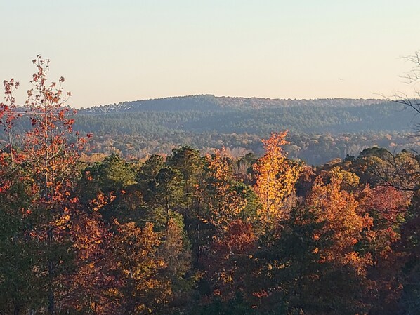 Unclassified image, 1 of 9, button