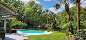 Um quintal com piscina, palmeiras e uma casa.