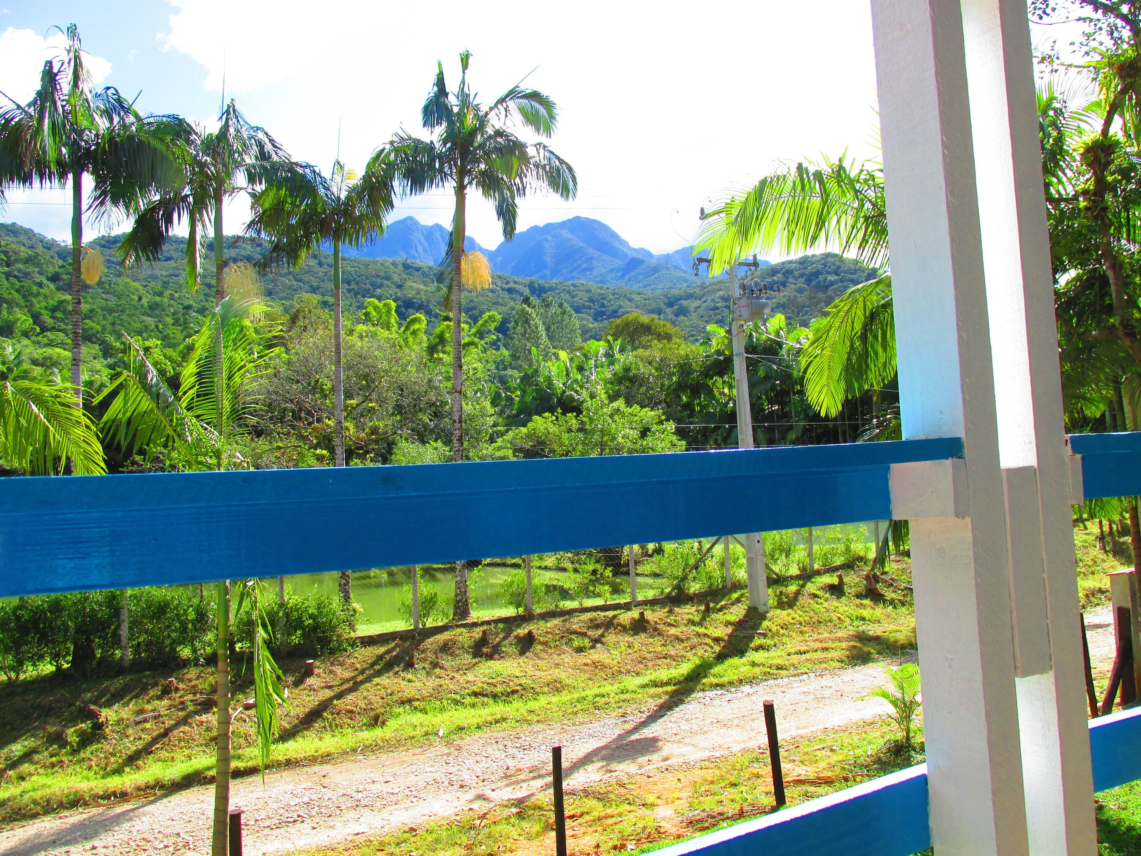 Área da propriedade