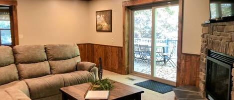 Televisión, chimenea y reproductor de DVD