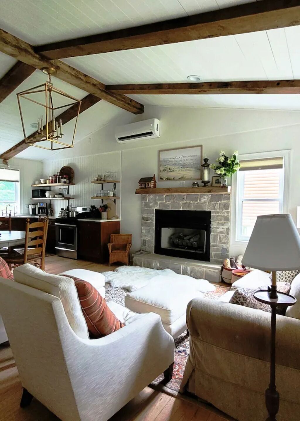 TV connectée, cheminée, lecteur de DVD, livres