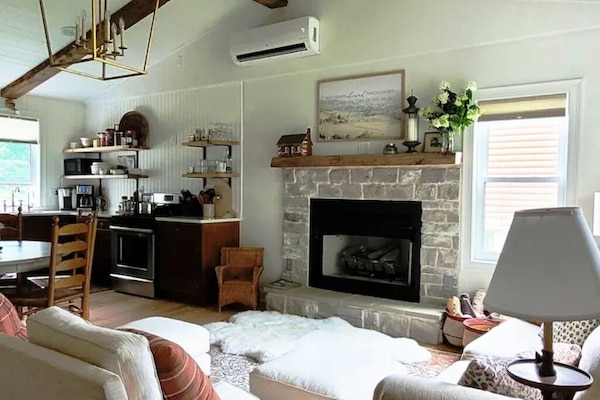 Smart TV, lareira, DVD player, livros