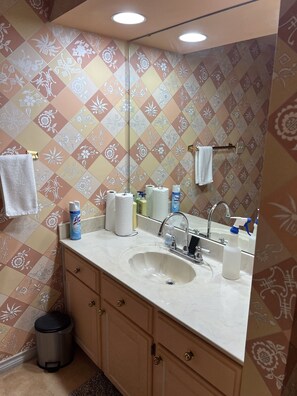 Ducha, secador de pelo, toallas, jabón