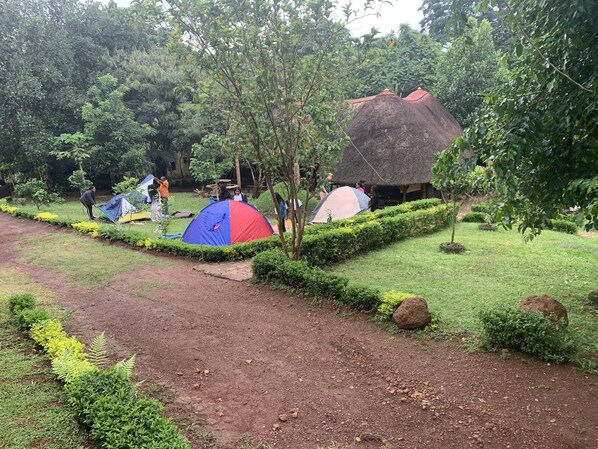 Property grounds - Quiet, and Serene. Boarders Mpanga Forest for nature walks, hikes and birding. (Kampala)