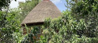 Quiet, and Serene. Boarders Mpanga Forest for nature walks, hikes and birding.