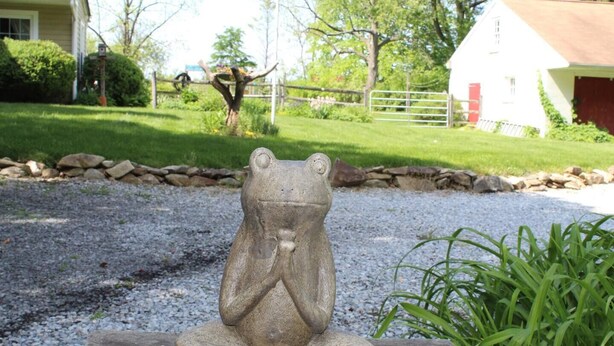 A stone frog sculpture in a garden setting with a gravel path, a wooden fence, and houses in the background. - Historic Farmhouse in Chester County (Downingtown)