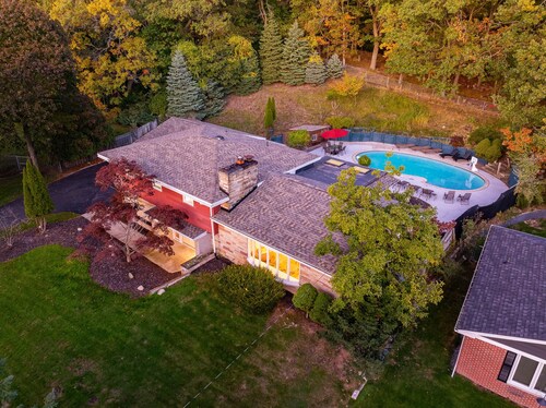 Swimming in the Woods