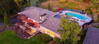 Swimming in the Woods