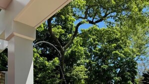 Un’area patio con un pilastro bianco, un vaso pensile fiorito, una statuina di uccello e un tavolo da pranzo con sedie e ombrellone.
