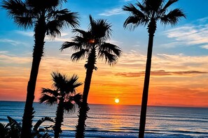 Una puesta de sol sobre el océano con palmeras silueteadas contra el cielo.