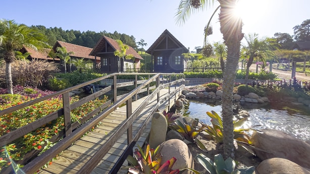 A wooden bridge over a pond with a waterfall, surrounded by tropical plants and palm trees. - Pousada Scursel (Ibirama)